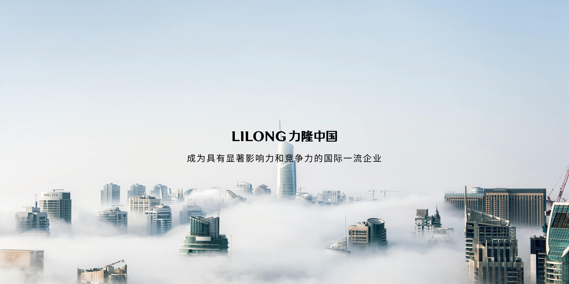 力隆中国