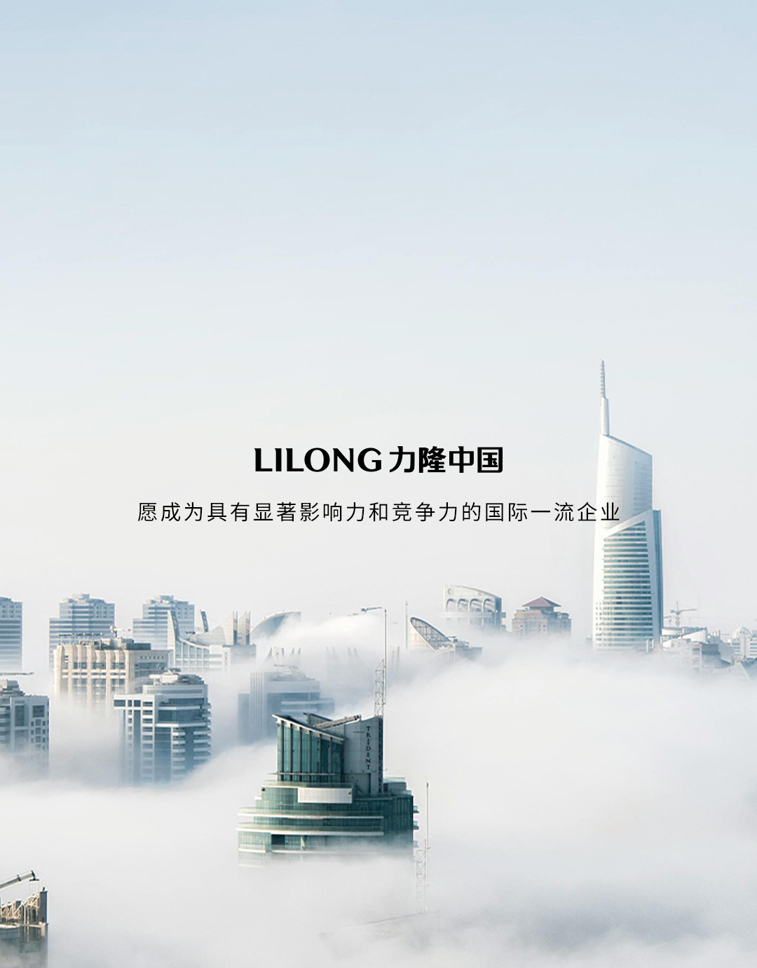 力隆中国